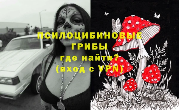 не бодяженный Арсеньев