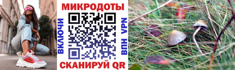Галлюциногенные грибы Psilocybe  дарнет шоп  Поронайск 