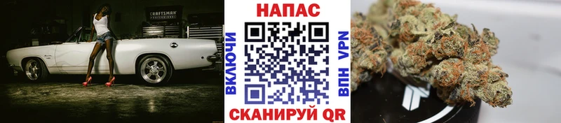 Бошки Шишки план  Поронайск 